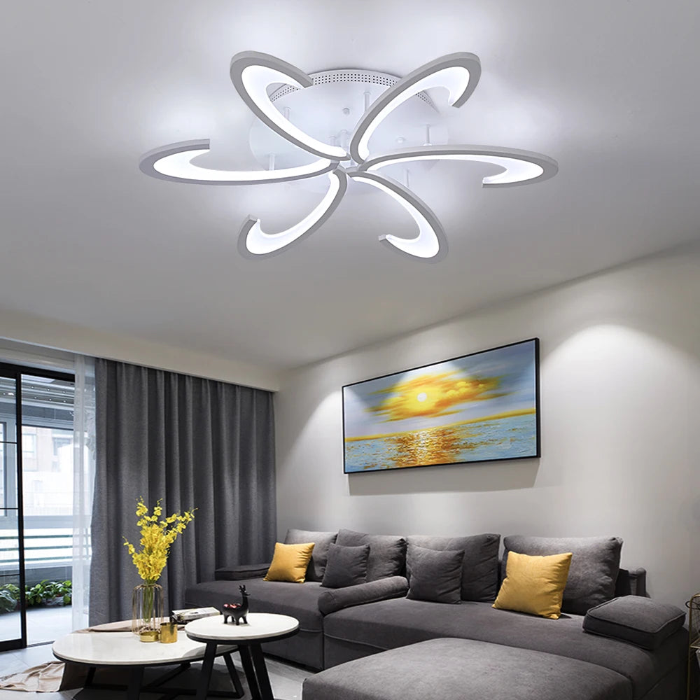 Modern Acrylic Led Ceiling Lamp